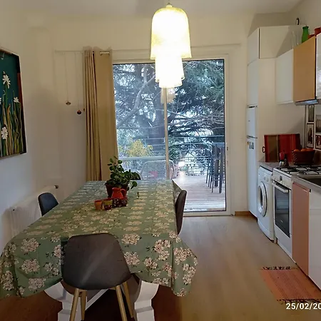 Aupres De Mon Arbre